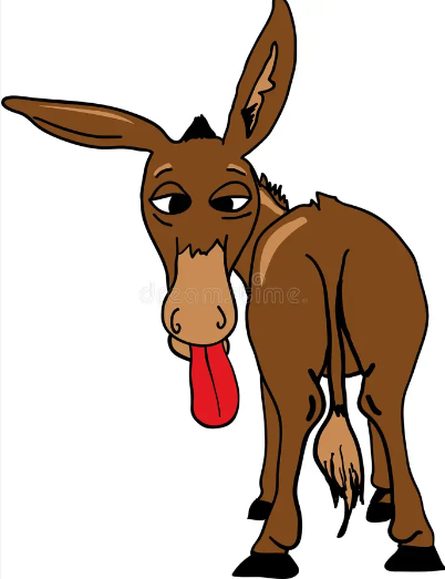Shield Interpol Donkeys Shield Interpol Donkeys